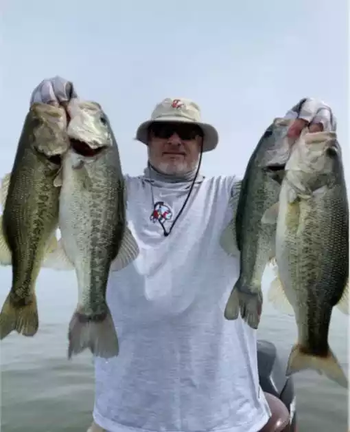 Bass fishing guide