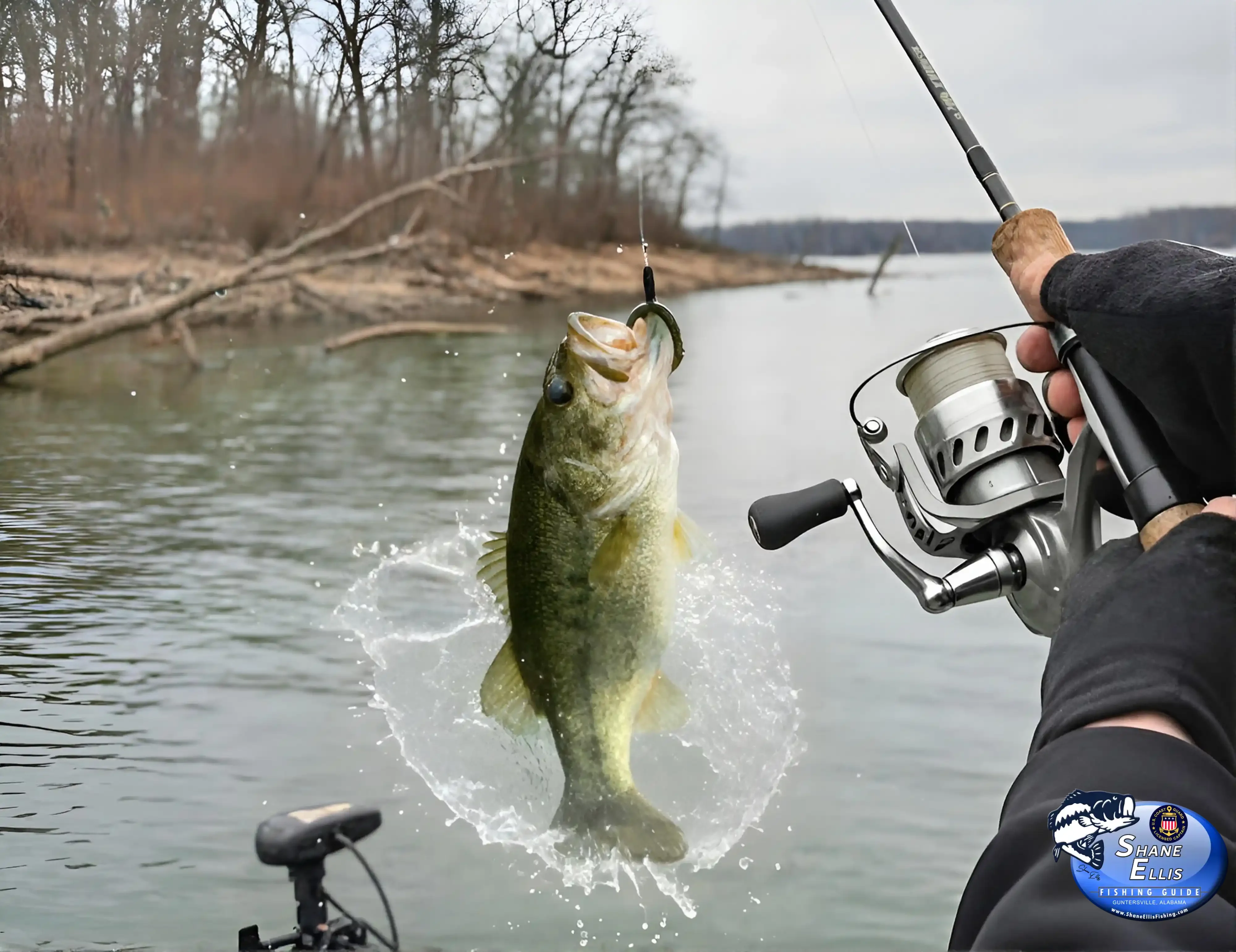 From Curious to Confident in One Day on the Water — Guntersville bass fishing